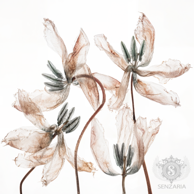 Трансфер - Тюльпаны