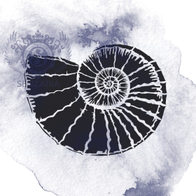 Трафарет - Раковина аммонита